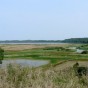 Вид с Савкиной горки на реку Сороть и озеро Кучане